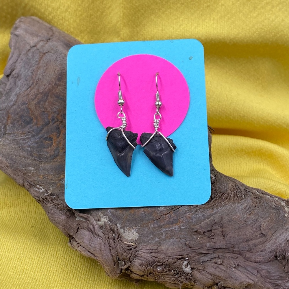 Elegant Black Shark Tooth Earrings with Silver Accents